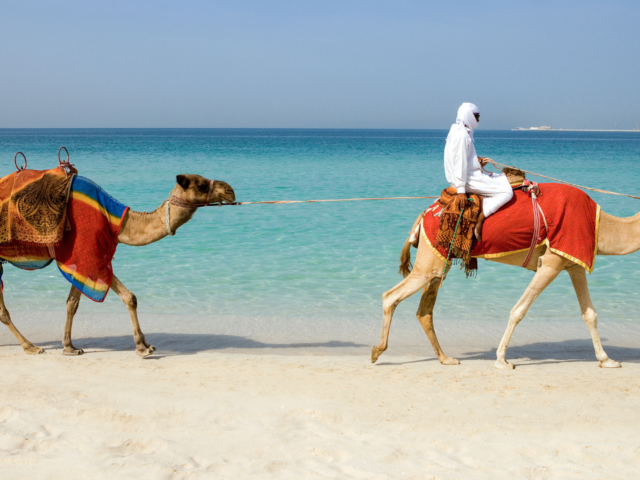 Image de deux chameaux sur la plage à dubai